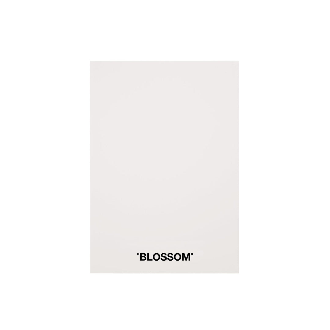 Color Card - Blossom - SHADES by Eric Kuster