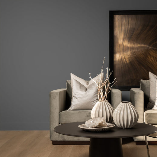 Graphite muurverf - SHADES by Eric Kuster